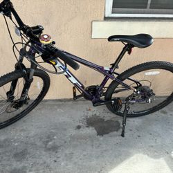 GT 29" Purple/Black Mountain Bike Aluminum Front Suspension V-Brake Kickstand