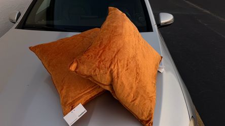 Crate & Barrel Stria Amber Velvet 23x23 Throw Pillow Feather/Down Zip