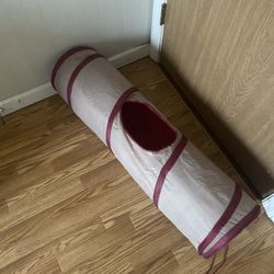 Cat Tunnel