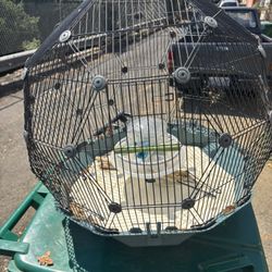 Birdcage