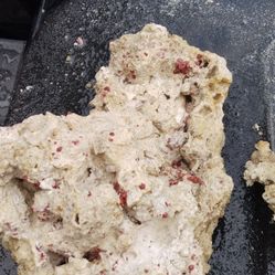 Coral Reef Base Rock 40LB