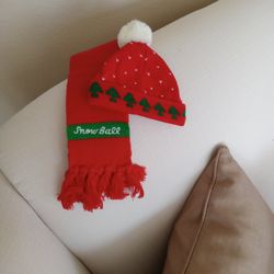 Tiny Pet? Great Christmas Photo Opportunity!