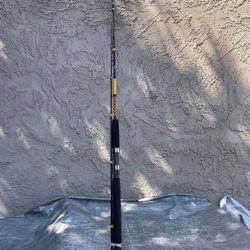 Ugly Stik Bigwater Conventional Rod, 8'3" Light Fishing Rod,