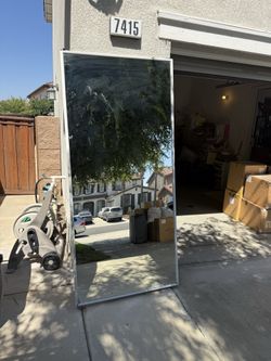 Closet mirror door