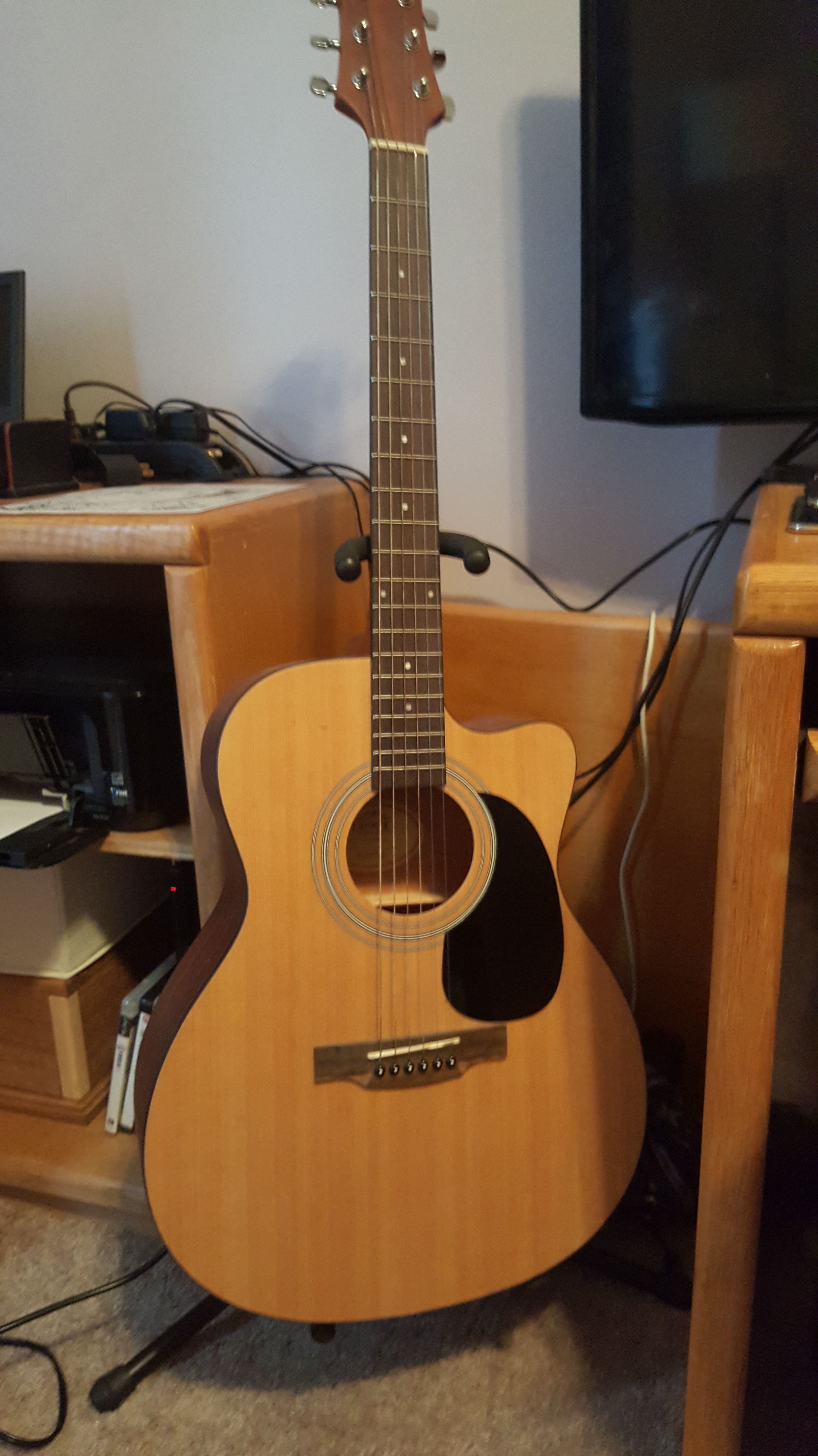 Laurel Canyon Acoustic Guitar