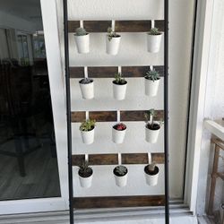 Succulent Ladder with hanging Pots & Succulents