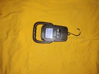 luggage fishing scale