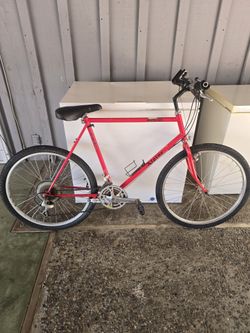 Alpine(vintage) Mountain-Bike $20