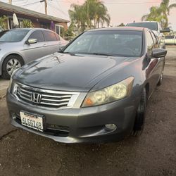2010 Honda Accord 