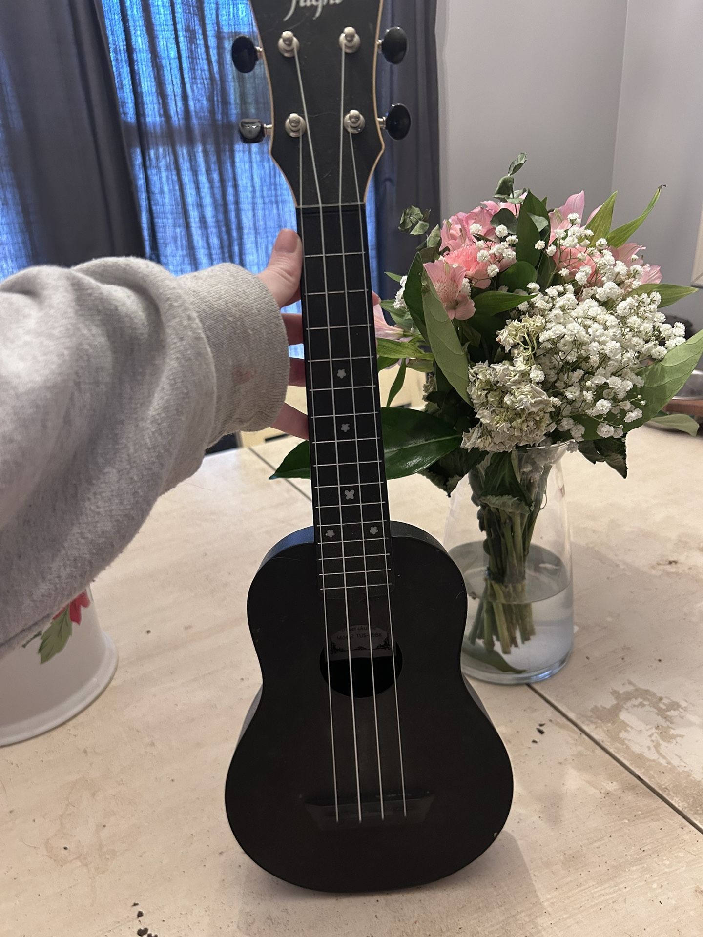 Flight Travel Ukulele