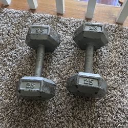 25 Lbs Dumbbells 