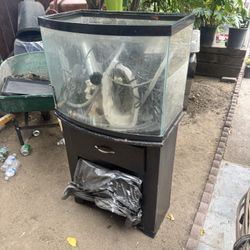 Fish Tanks