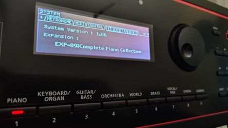 Roland Juno-DS61 keyboard + Road Runner Gig Bag & Power Supply