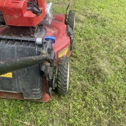 Cutting Grass 