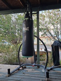 Punching bag and stand