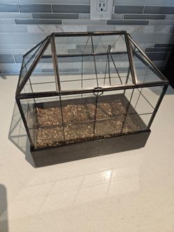 Glass and Metal Indoor Greenhouse Terrarium