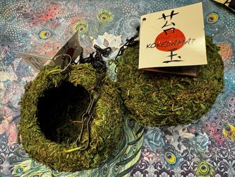 Set Of 2 Kokedama Hanging Planters