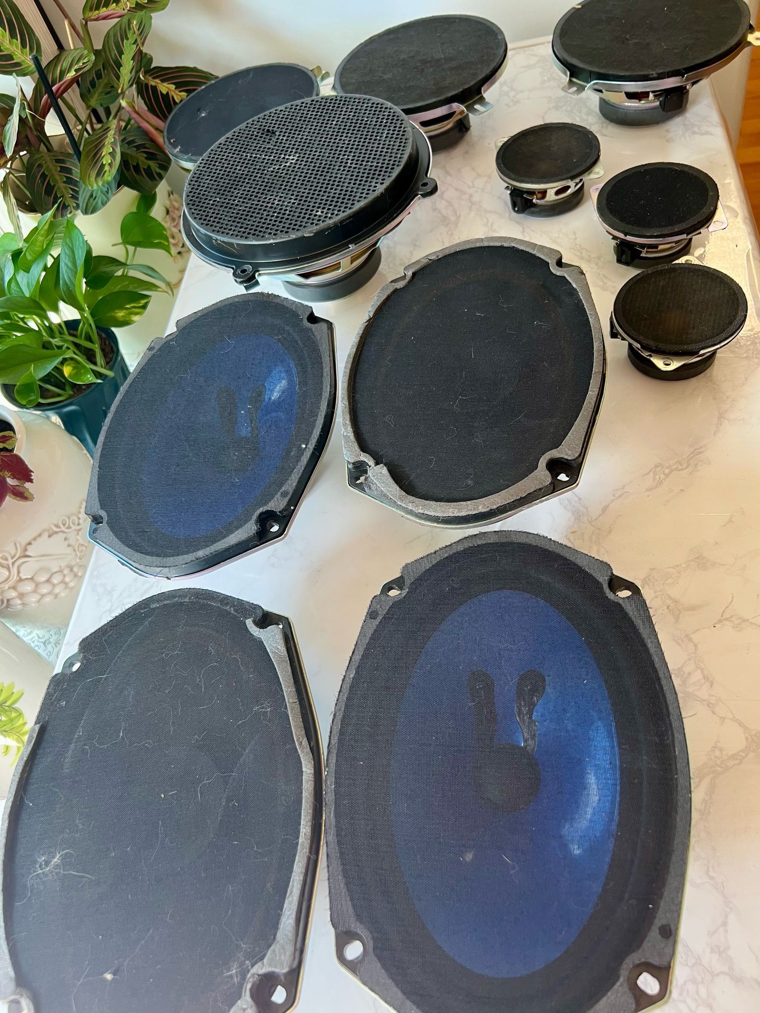 Speaker For Cars