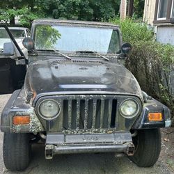 Jeep Wranglers