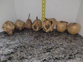 Set Of 7 Decorative Natural Wrapped Apple Accent Pieces