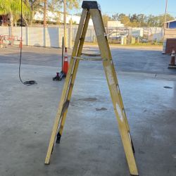 6 Foot Ladder 