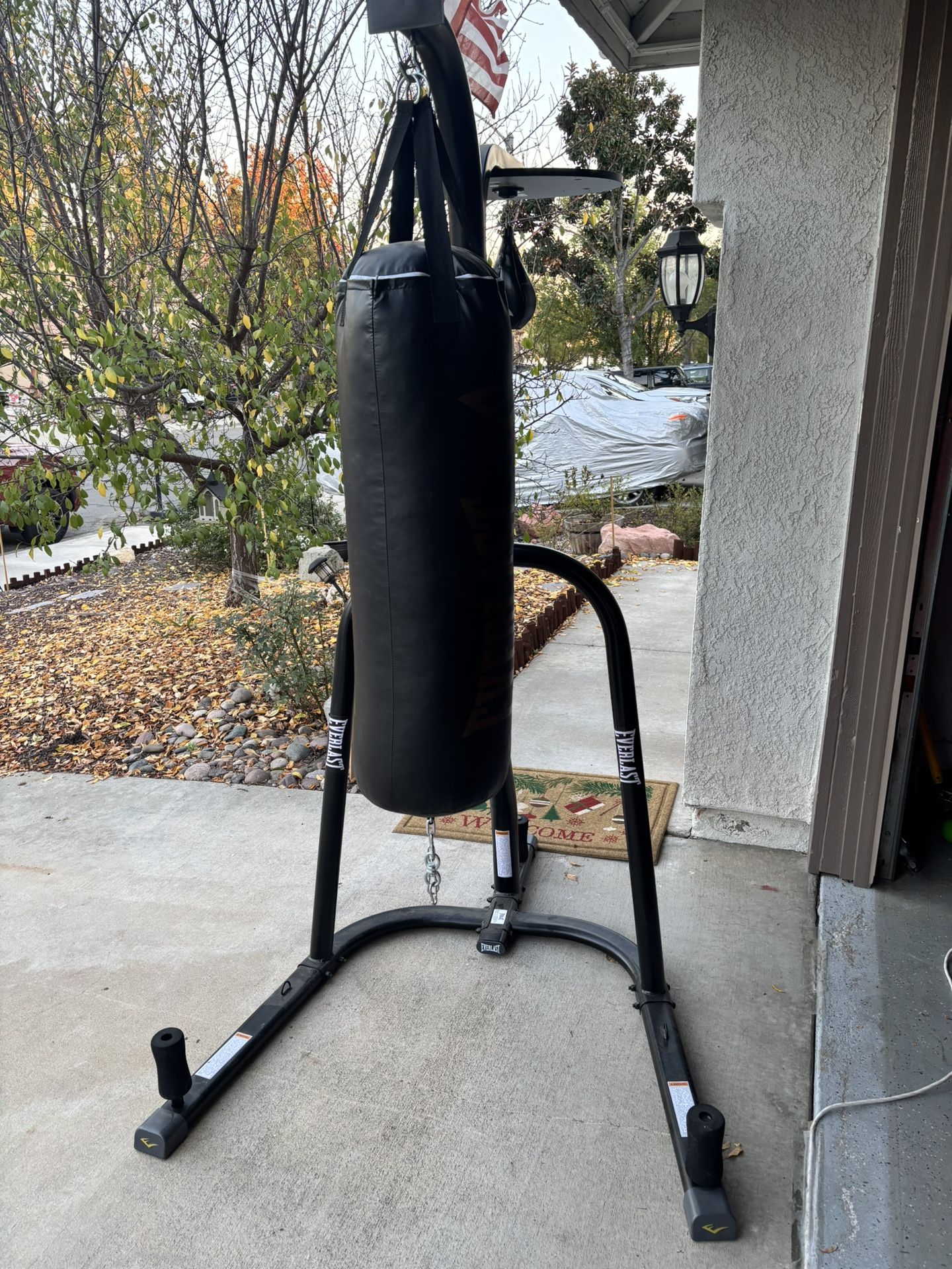 Everlast Heavy Bag/Speed Bag