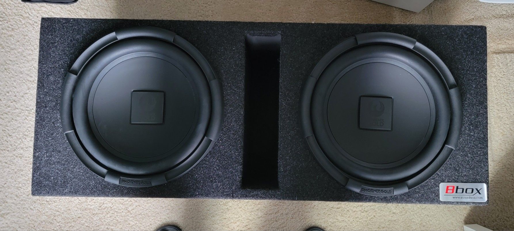 10" Phoenix Gold Subwoofers (Sony Amp)