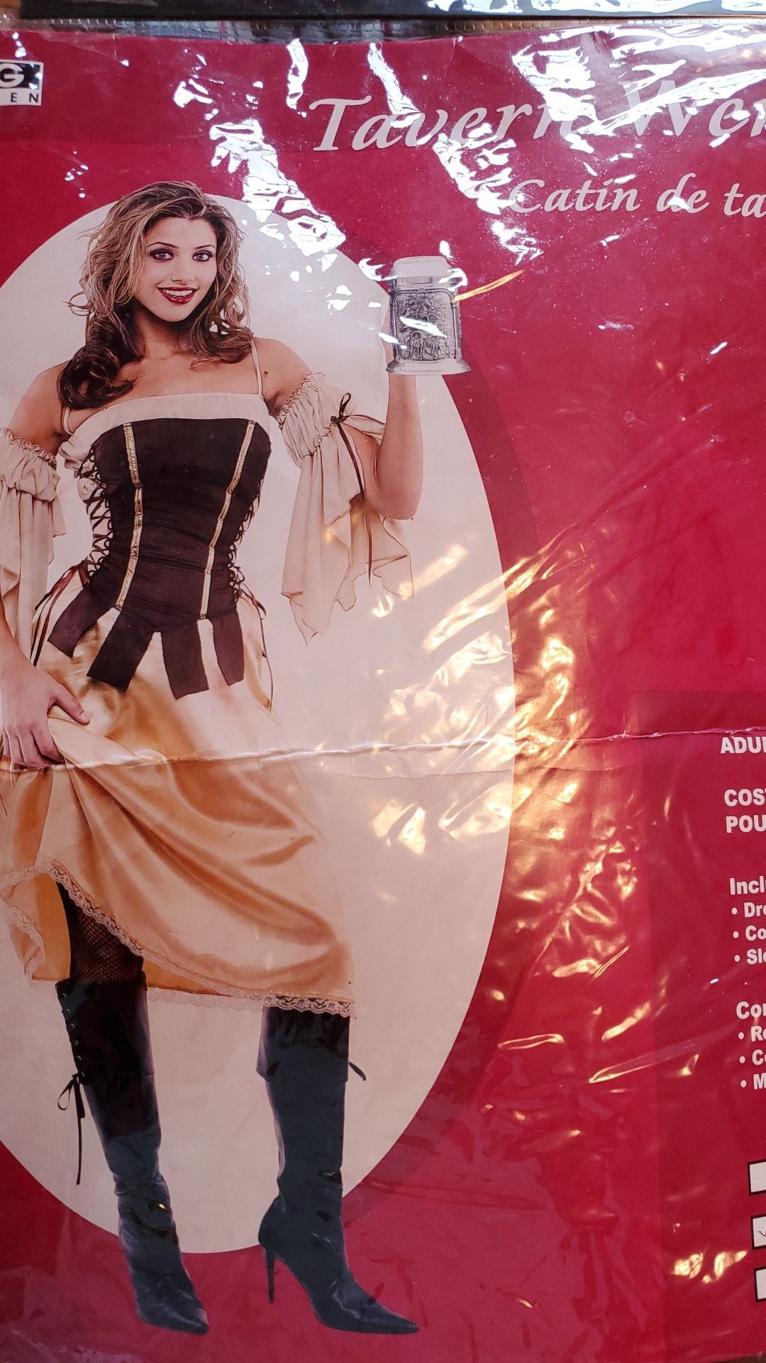 Halloween Costume "Tavern Wench"