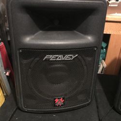 DJ Speakers Power Peavey’s 12 inch