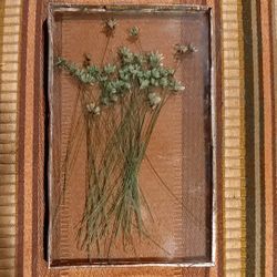 Metal Framed Pressed Flowers Between Glass 3"×5"×1-3/8" Thick