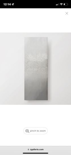 Z Gallerie Glitter Canvas