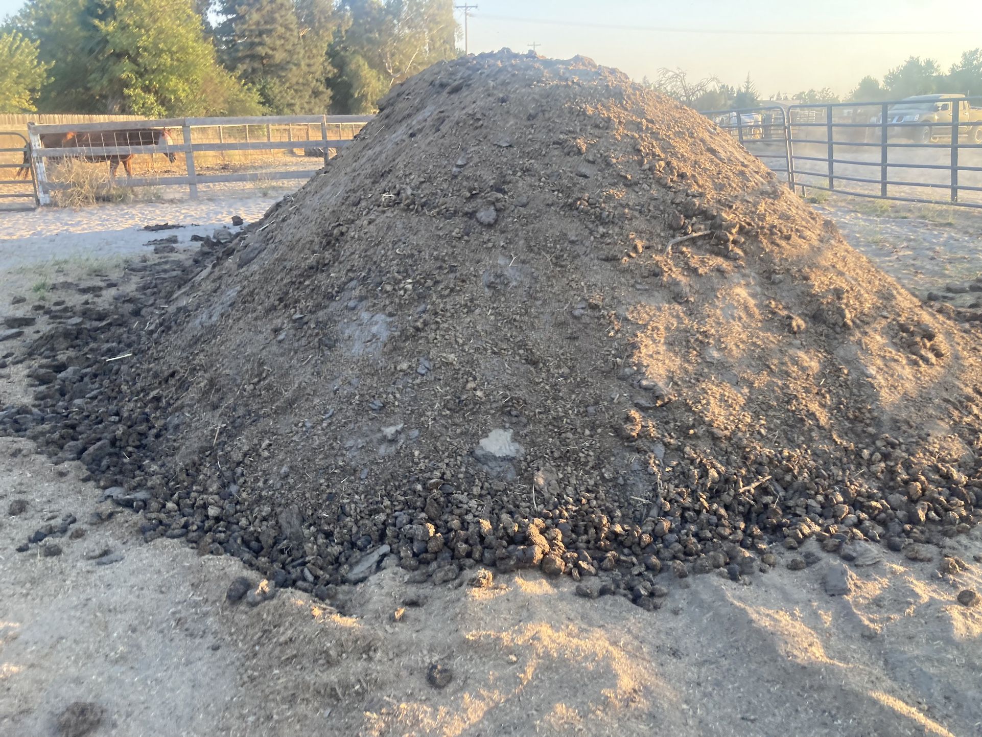 Free Horse Manure