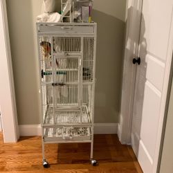 Conure Bird Cage And Toys And Assassory 