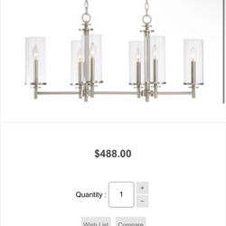 Brand New Light Fixture 