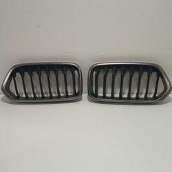 2018 2020 BMW X2 F39 RIGHT AND LEFT SIDE FRONT RADIADOR GRILLE SET OEM