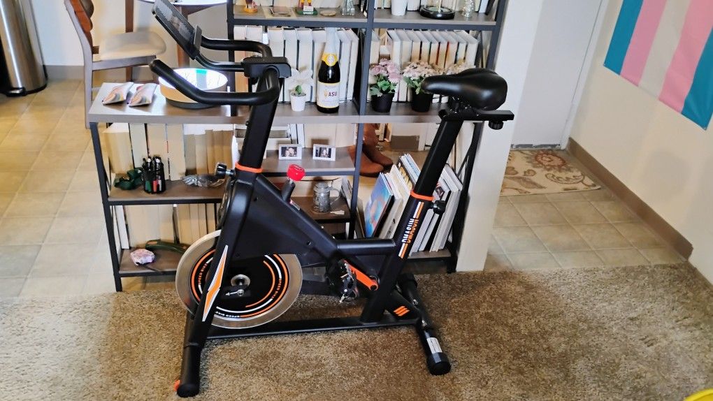 DMASUN Magnetic Resistance Indoor Exercise Bike