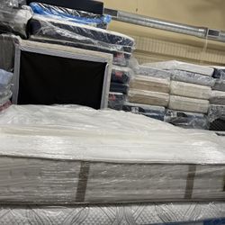 King Mattres Steransfoster 🦖