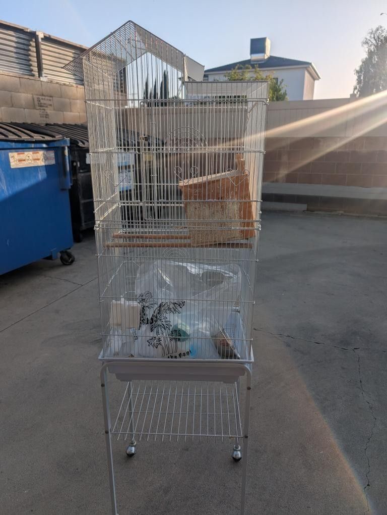 Bird Cage