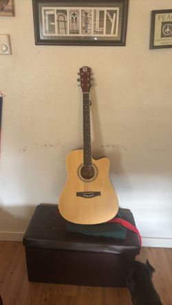 VANGOA GUITAR -model:VG-41CEN