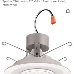 6” LED Down Light With Bluetooth Speaker