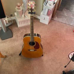 Hofner Acoustic Guitar