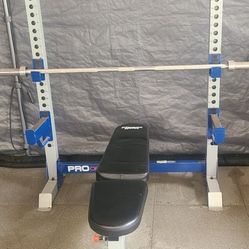 Fitness Gear Pro Olympic Bench, 300lb Weight Set, Plate Tree