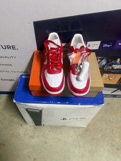 Nike Air Force One Terror Squad