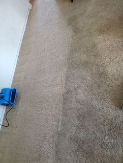 Carpet,tile and upholstery cleaner