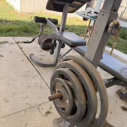 Free Weight Bench & Weights