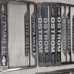 Dealer License Plates