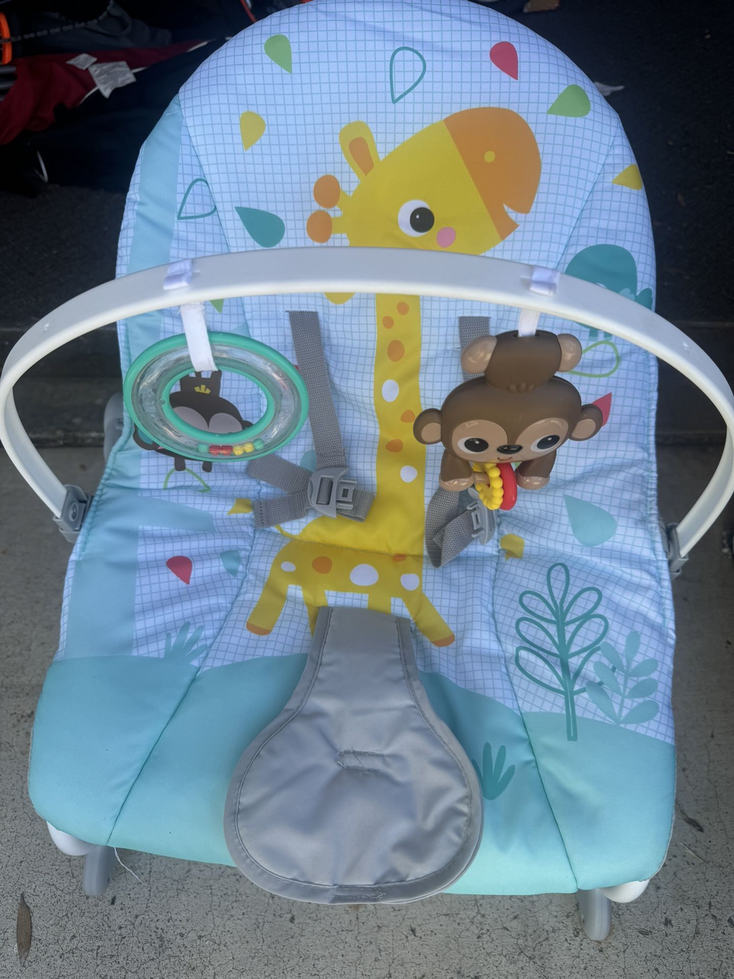 Baby Bouncer