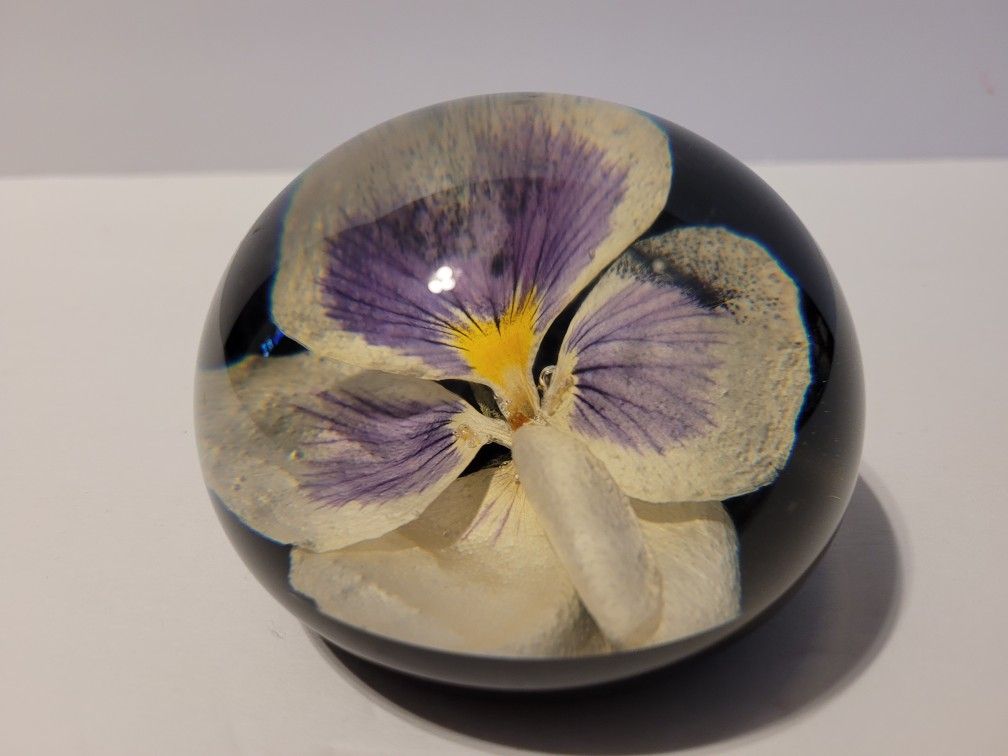 Paperweight Pansy Purple And White Flower Clear 