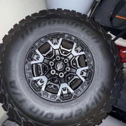 Raptor r bead locks rims