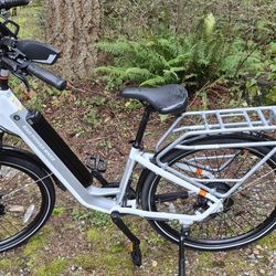 Radcity 5 Plus Step-thru Electric Commuter Bike